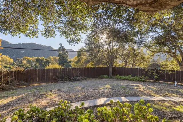 a view of a backyard with large trees and wooden fence