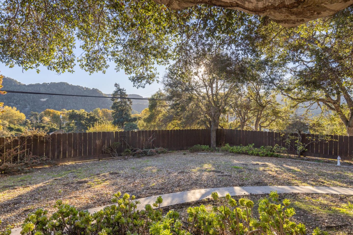 9805 Carmel Valley Road Carmel, CA 93923 - Photo 7 of 35 a view of a backyard with large trees and wooden fence