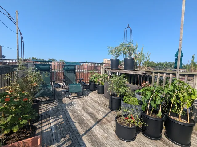 $2,200 | 6814 North Ashland Boulevard, Unit 1C, Chicago, IL 60626