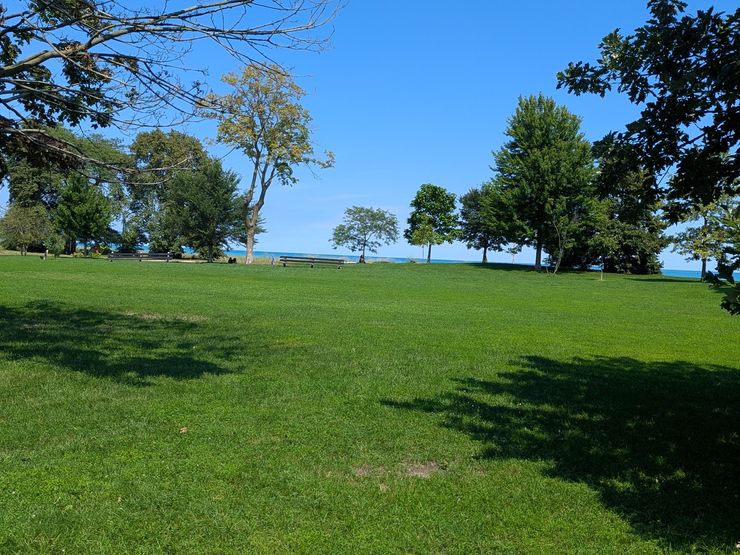 6814 North Ashland Boulevard, Unit 1C Chicago, IL 60626 - Photo 31 of 31