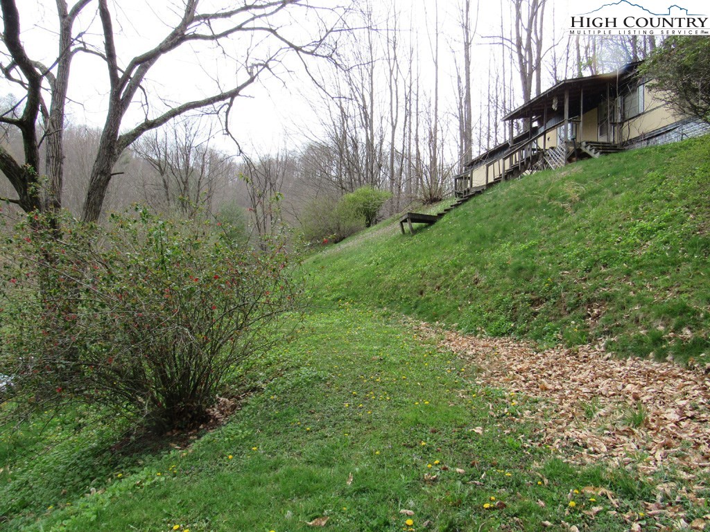 276 Greer Hollow Road Lansing, NC 28643 - Photo 11 of 40 a view of a yard with plants and a large tree