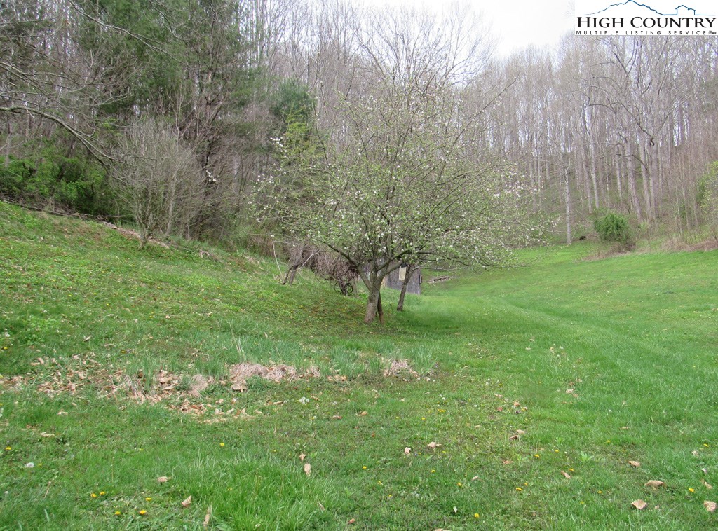 276 Greer Hollow Road Lansing, NC 28643 - Photo 8 of 40 a view of a green field with trees