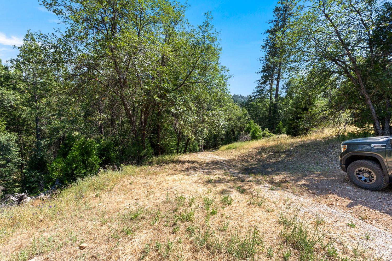 0 Meyers Road Camino, CA 95709 - Photo 21 of 28