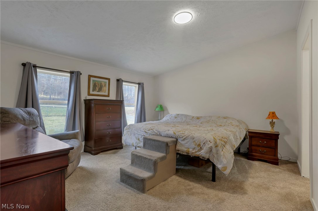 3750 Cannelville Road Roseville, OH 43777 - Photo 15 of 33 Bedroom featuring light carpet