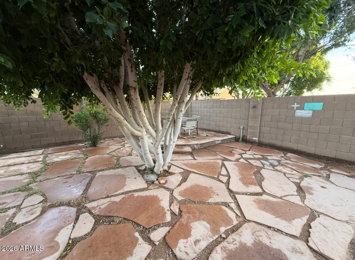 11531 East Decatur Street Mesa, AZ 85207 - Photo 66 of 75 IMG_3719