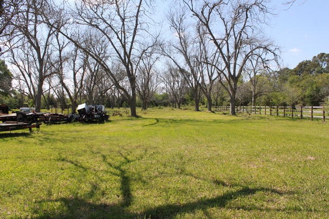 617 North Noble Road Texas City, TX 77591 - Photo 12 of 15 Views of the land with beautiful trees
