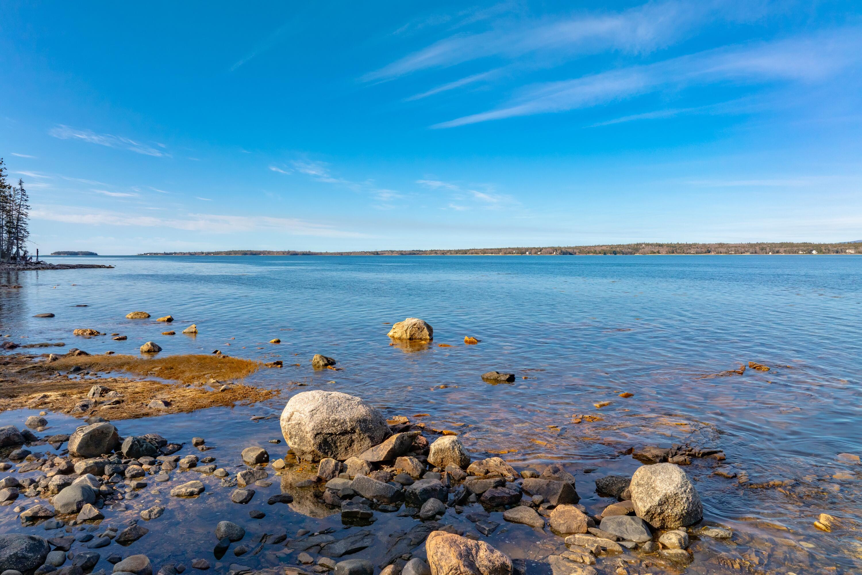 Lot 17 Wilderness Shore Road South Steuben, ME 04680 - Photo 5 of 12