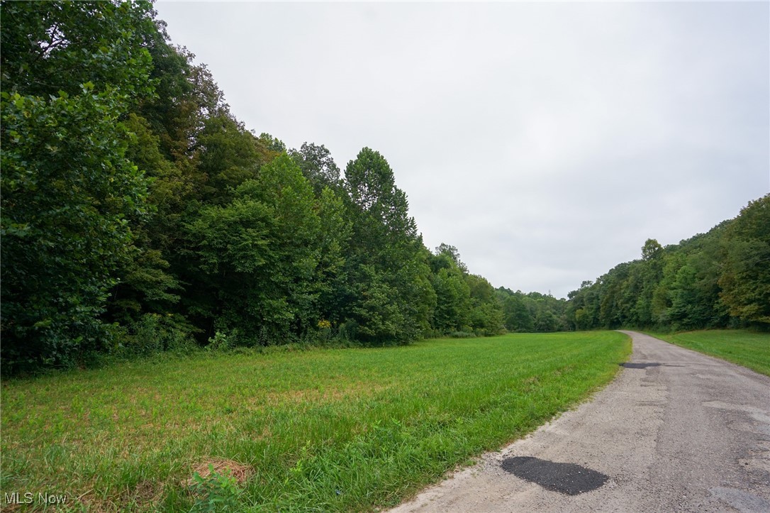 34799 Paw Road Lower Salem, OH 45745 - Photo 31 of 50 View of road featuring a forest view