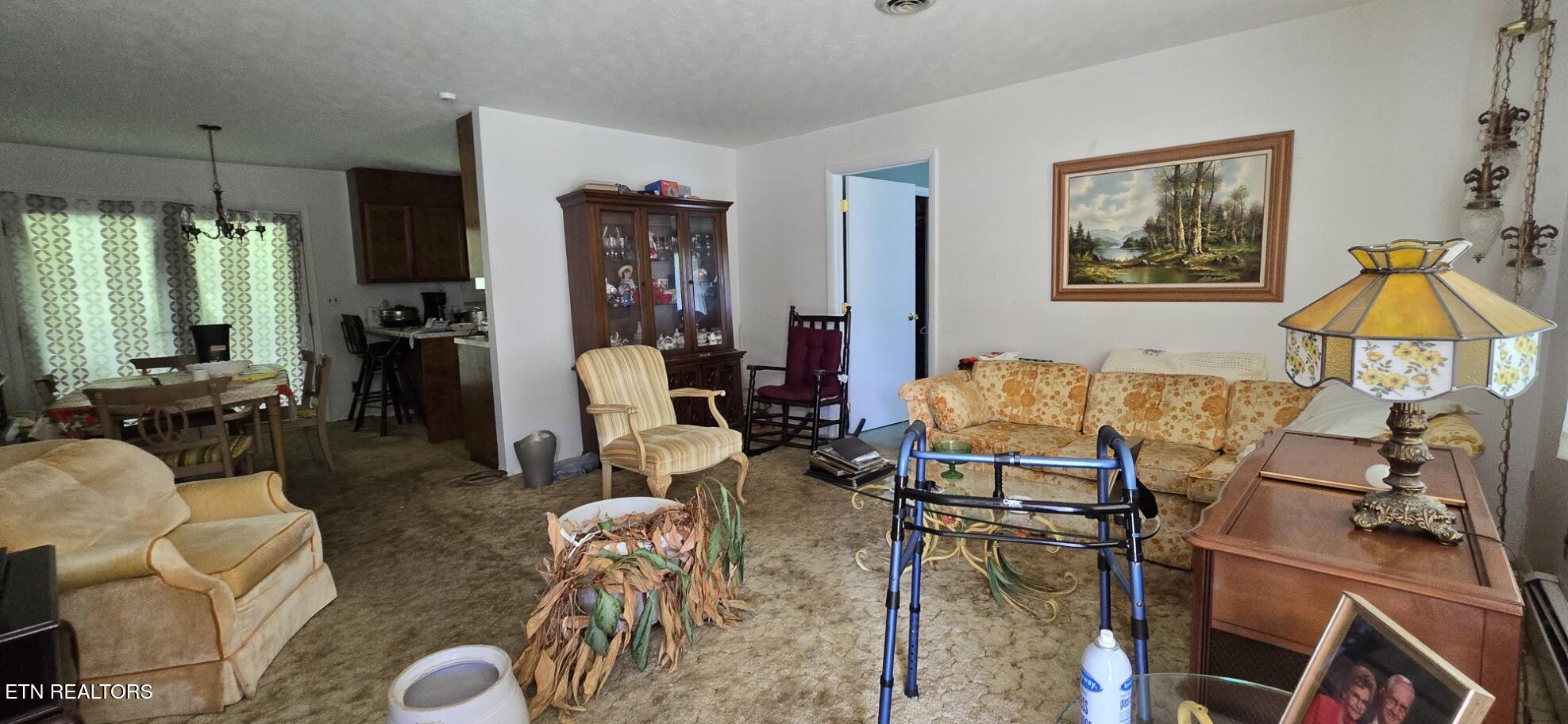 196 Shady Lane Oneida, TN 37841 - Photo 15 of 16 20260612_134250