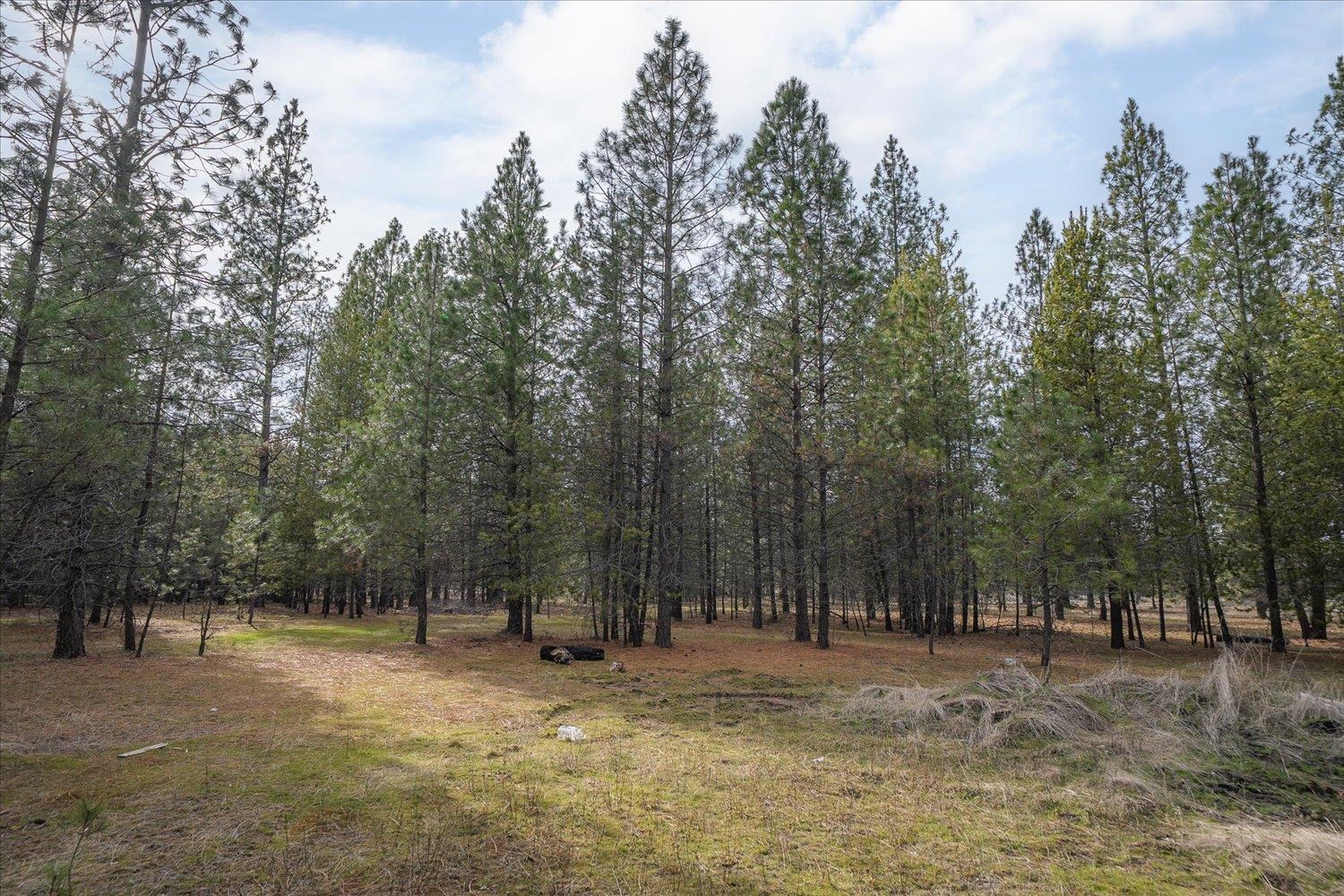 28202 North Bruce Road Chattaroy, WA 99003 - Photo 11 of 38