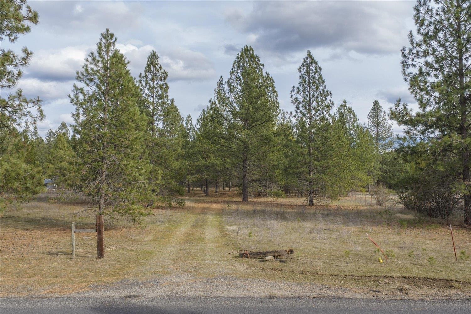 28202 North Bruce Road Chattaroy, WA 99003 - Photo 16 of 38