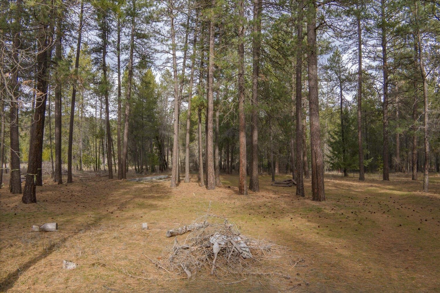 28202 North Bruce Road Chattaroy, WA 99003 - Photo 18 of 38