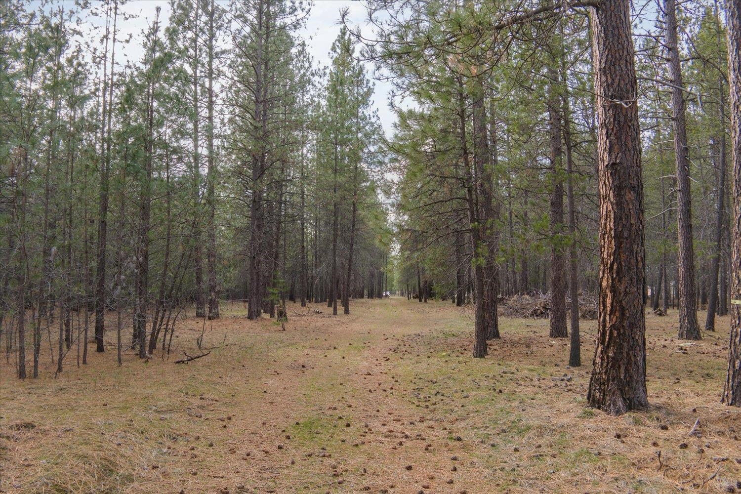 28202 North Bruce Road Chattaroy, WA 99003 - Photo 19 of 38