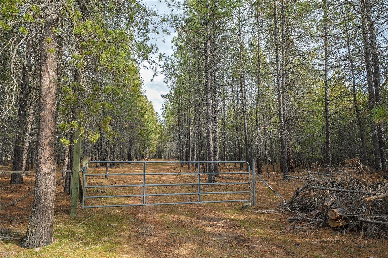 28202 North Bruce Road Chattaroy, WA 99003 - Photo 2 of 38