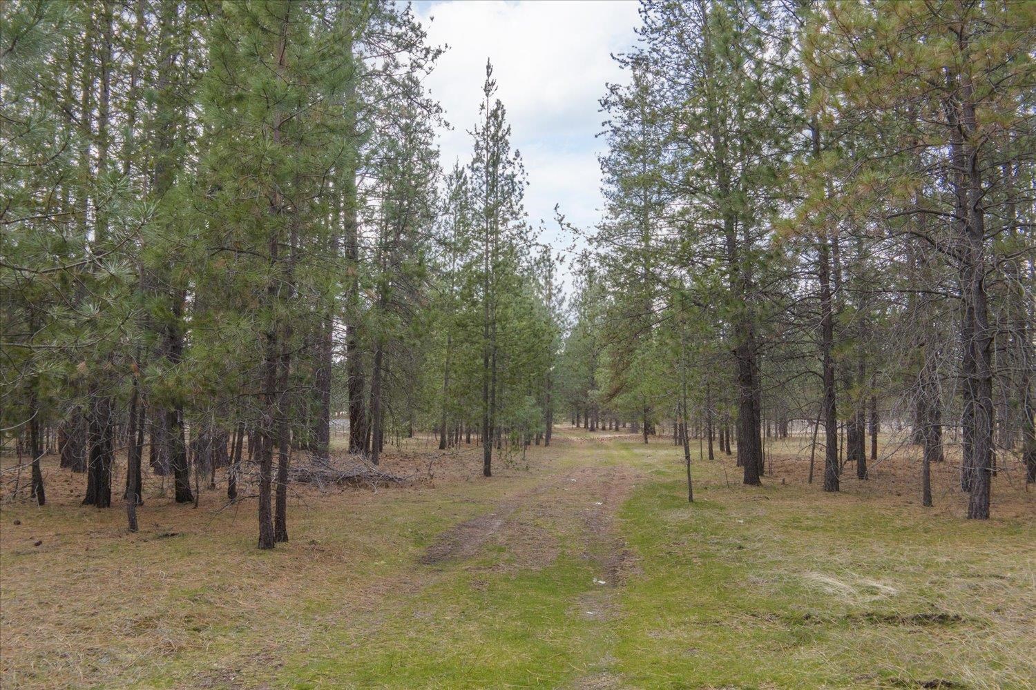 28202 North Bruce Road Chattaroy, WA 99003 - Photo 24 of 38