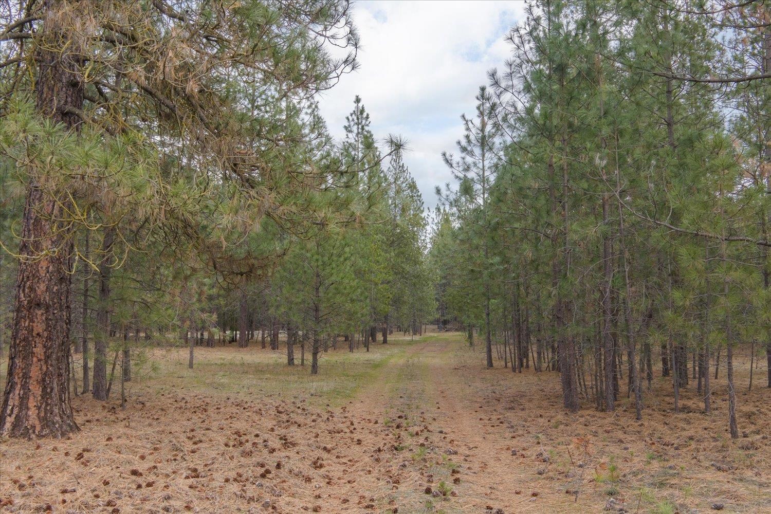 28202 North Bruce Road Chattaroy, WA 99003 - Photo 25 of 38