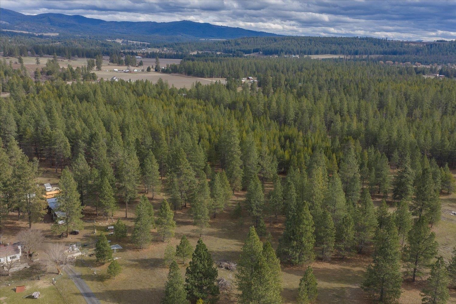 28202 North Bruce Road Chattaroy, WA 99003 - Photo 28 of 38