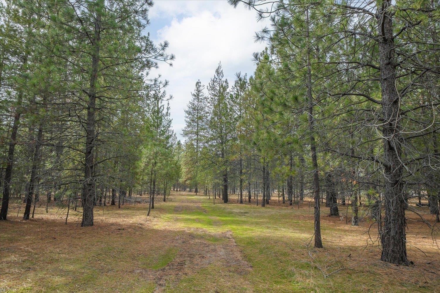 28202 North Bruce Road Chattaroy, WA 99003 - Photo 3 of 38