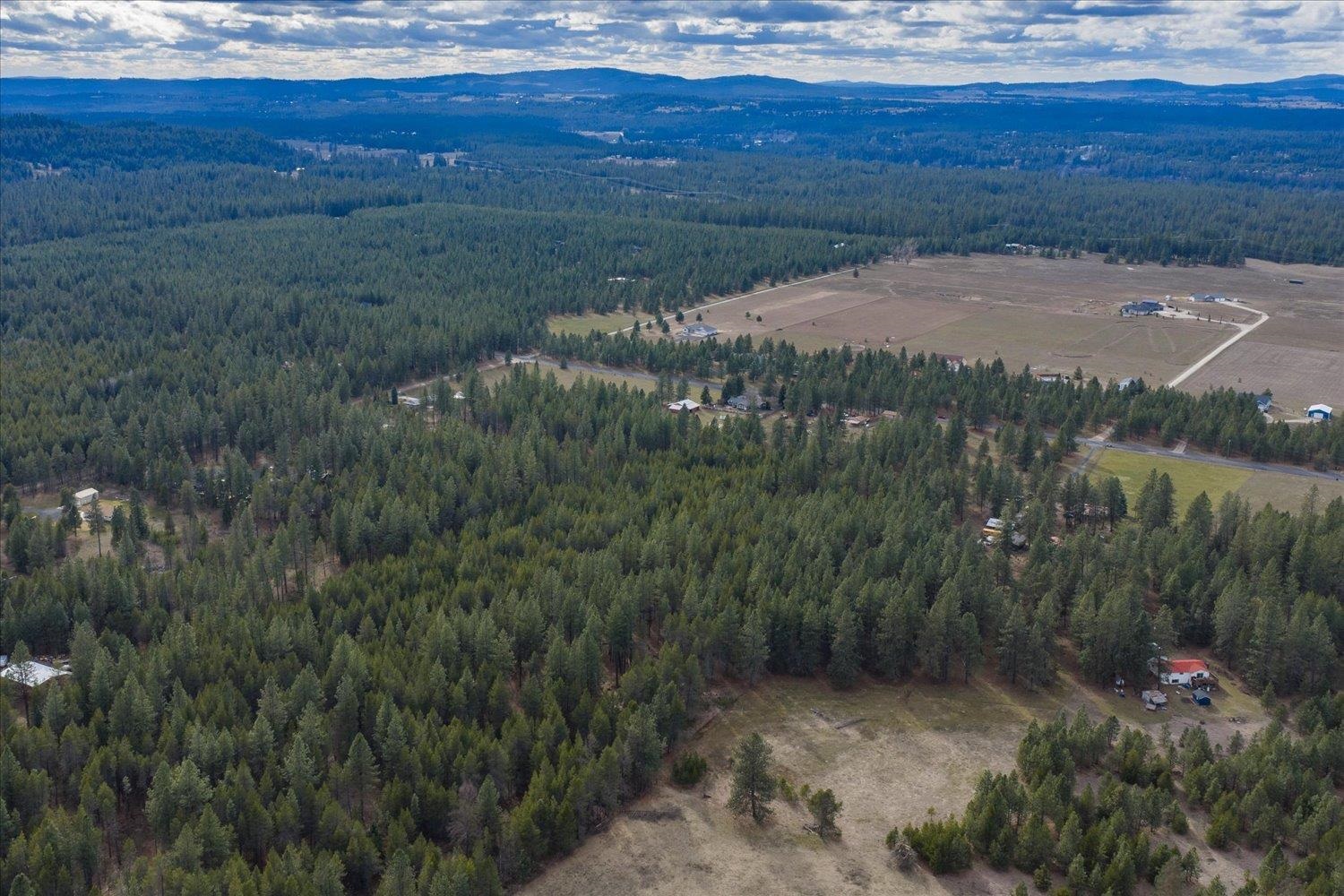 28202 North Bruce Road Chattaroy, WA 99003 - Photo 31 of 38