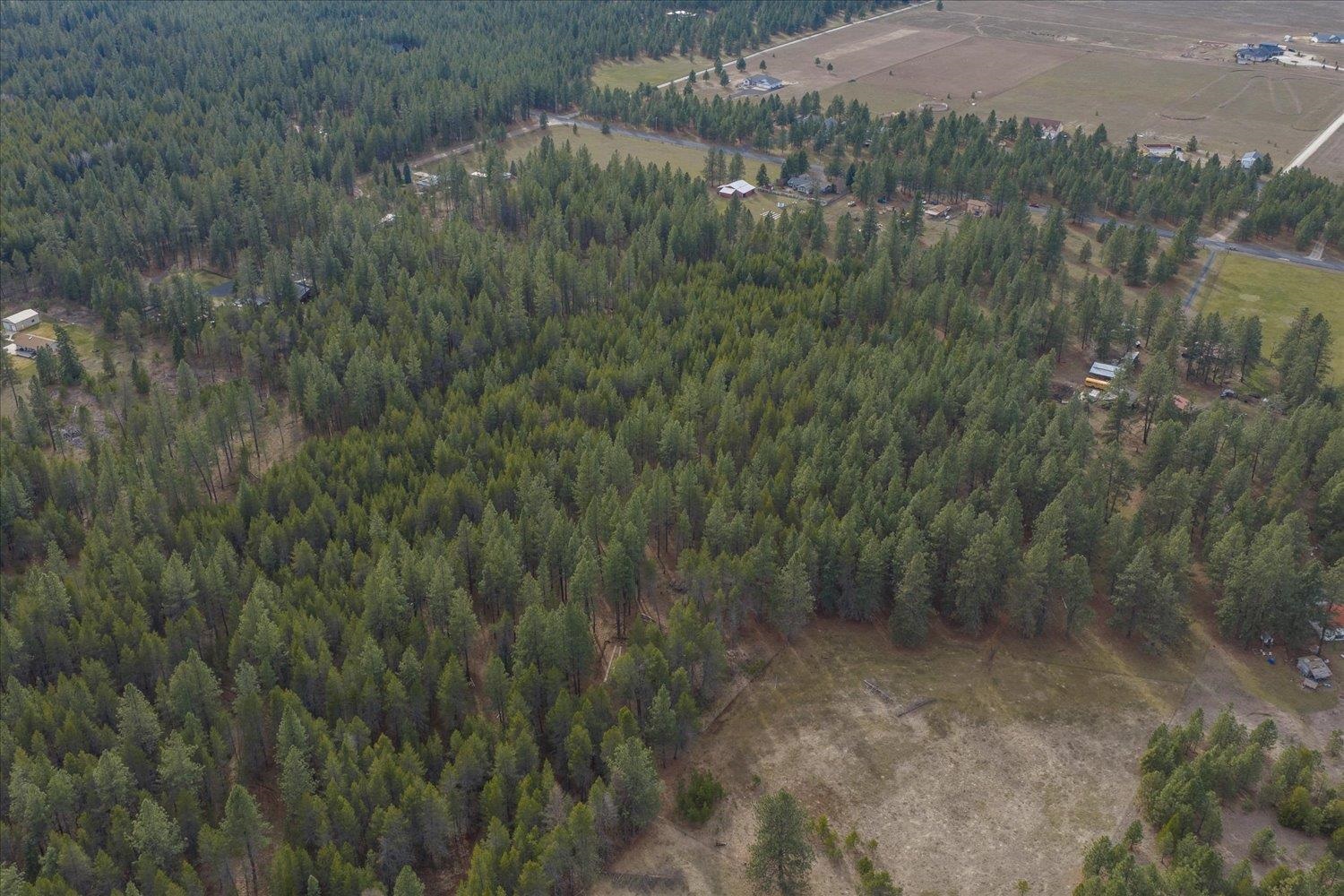 28202 North Bruce Road Chattaroy, WA 99003 - Photo 32 of 38