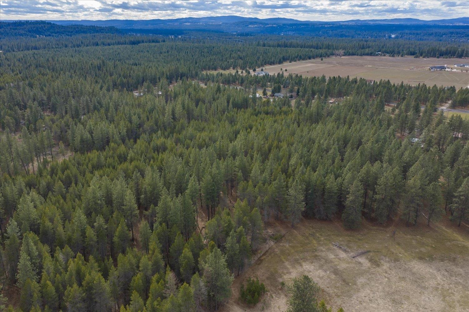 28202 North Bruce Road Chattaroy, WA 99003 - Photo 33 of 38