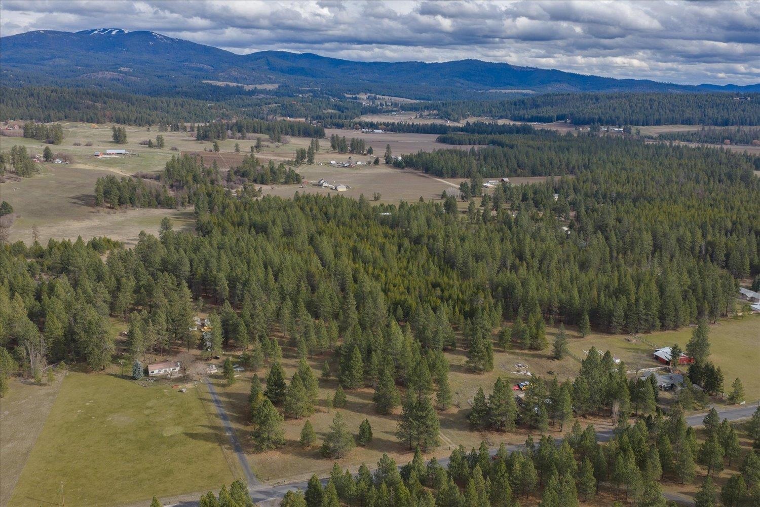 28202 North Bruce Road Chattaroy, WA 99003 - Photo 35 of 38