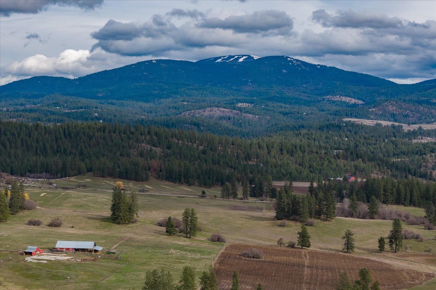28202 North Bruce Road Chattaroy, WA 99003 - Photo 38 of 38