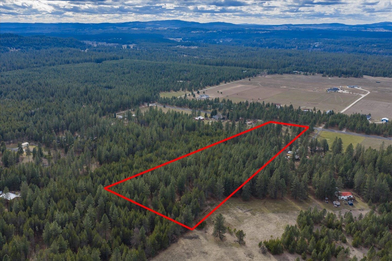 28202 North Bruce Road Chattaroy, WA 99003 - Photo 4 of 38