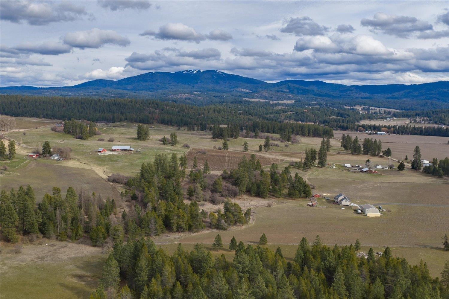 28202 North Bruce Road Chattaroy, WA 99003 - Photo 5 of 38