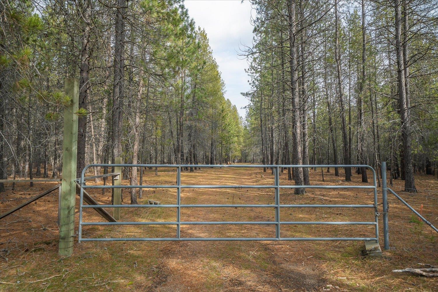 28202 North Bruce Road Chattaroy, WA 99003 - Photo 9 of 38