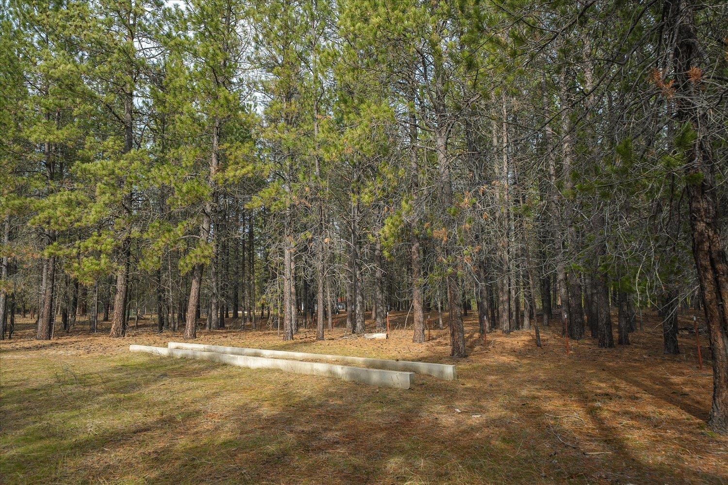 28202 North Bruce Road Chattaroy, WA 99003 - Photo 10 of 38