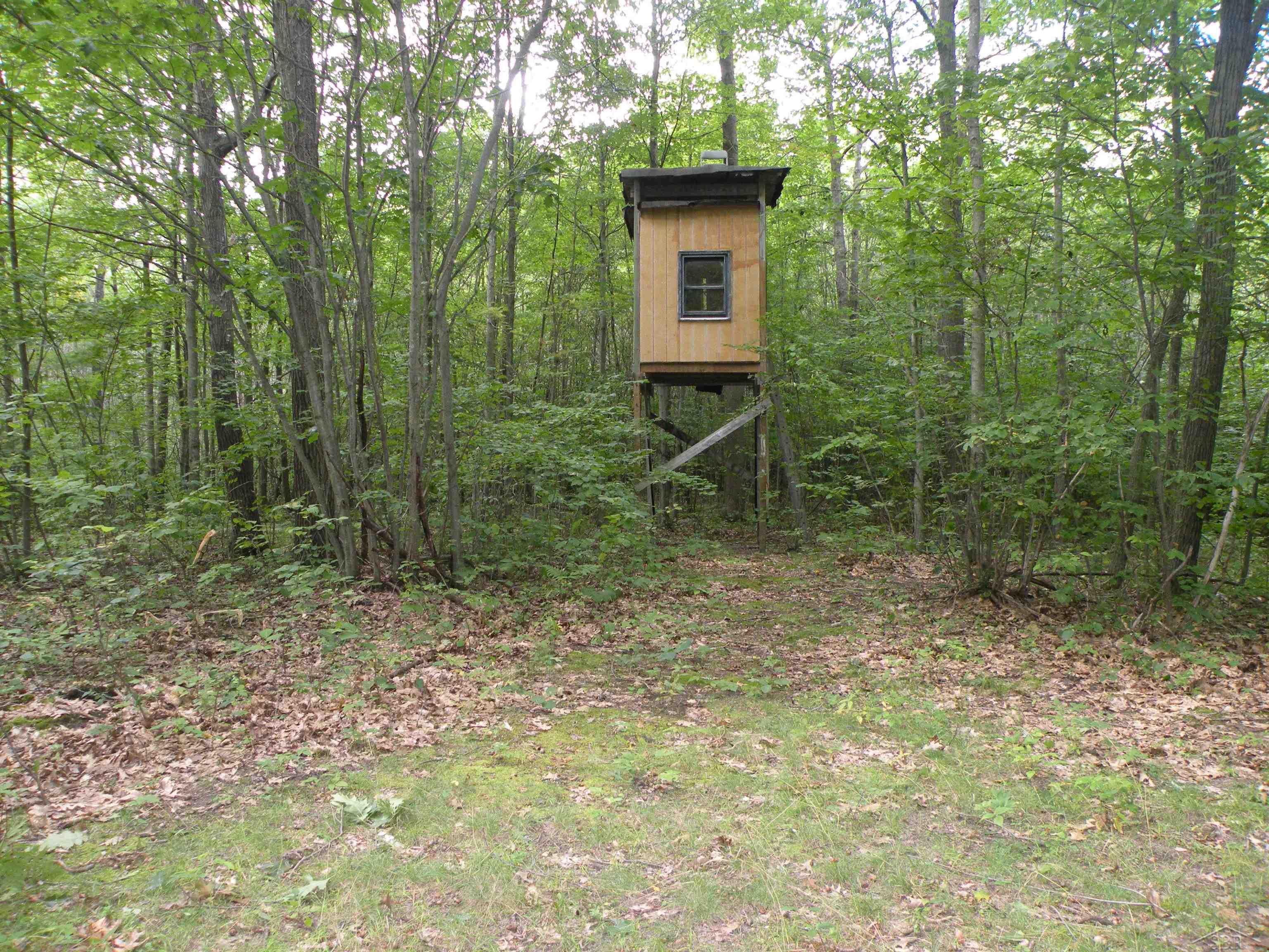 North County Line Road Farwell, MI 48622 - Photo 2 of 18