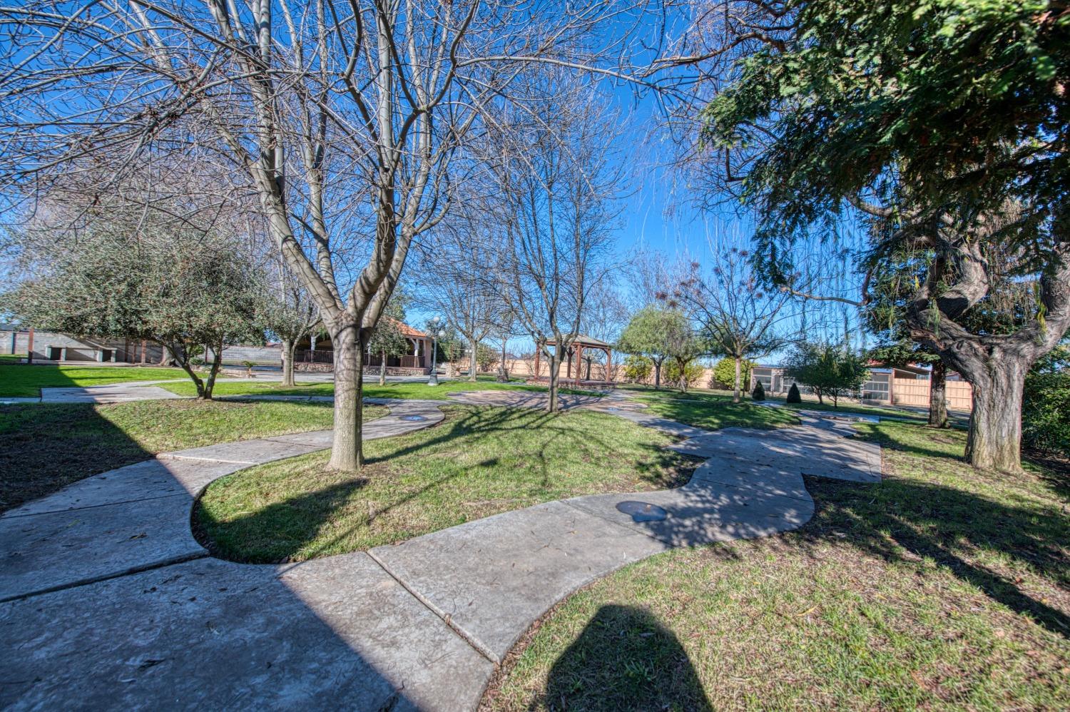 24607 Gardena Drive Madera, CA 93638 - Photo 39 of 74 a view of a park with tree s