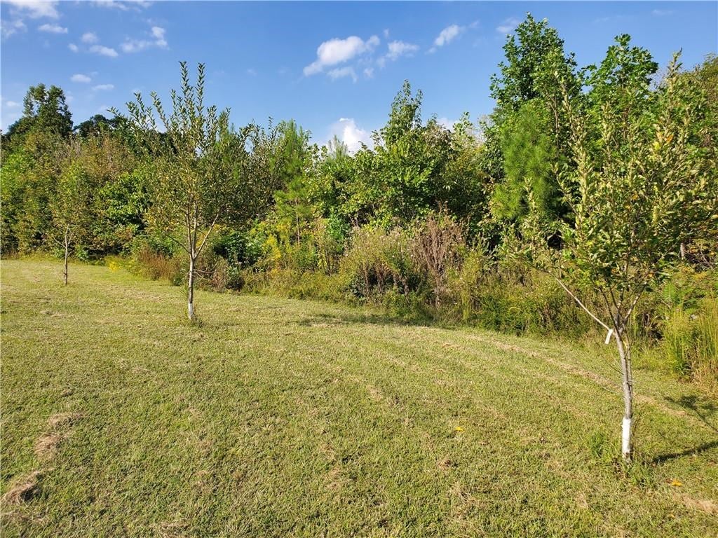 Hicks Lane Rice, VA 23966 - Photo 4 of 13 Gallery Image 4