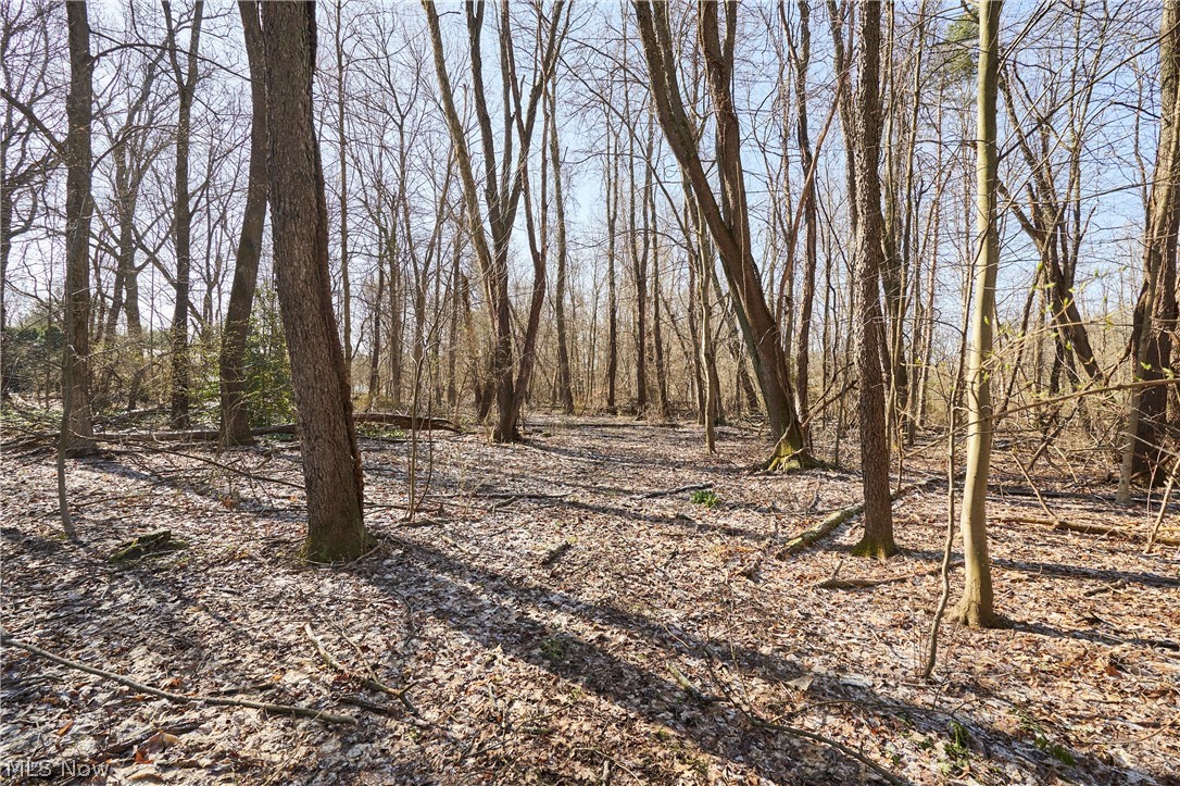 V/l 20-ac Ridgewood Road Akron, OH 44333 - Photo 8 of 16