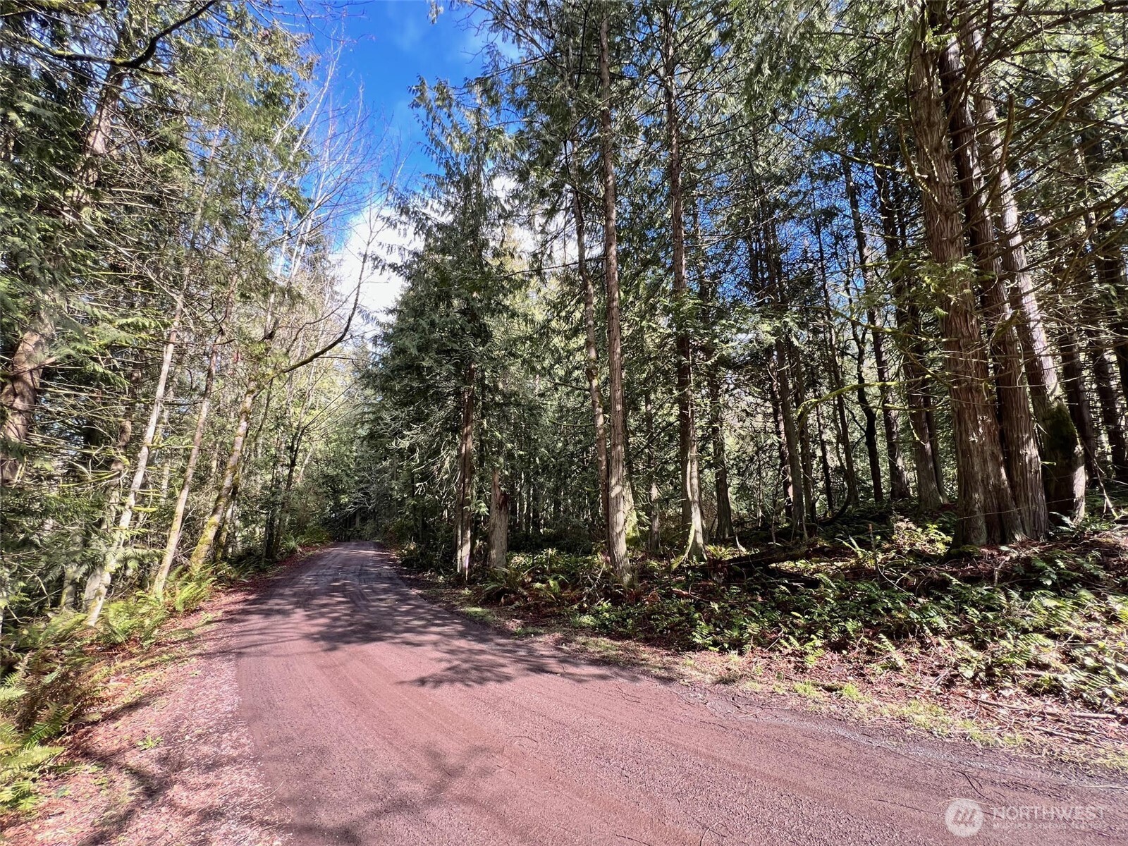 9999 South Sequim Avenue Sequim, WA 98382 - Photo 6 of 13 a view of backyard with green space