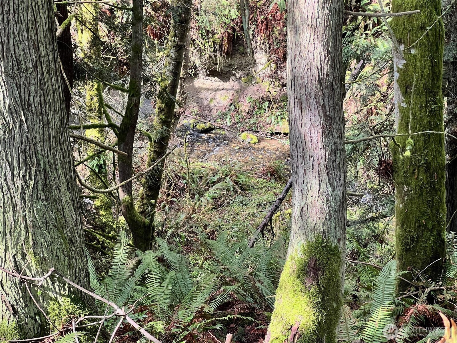 9999 South Sequim Avenue Sequim, WA 98382 - Photo 9 of 13 a map view of location