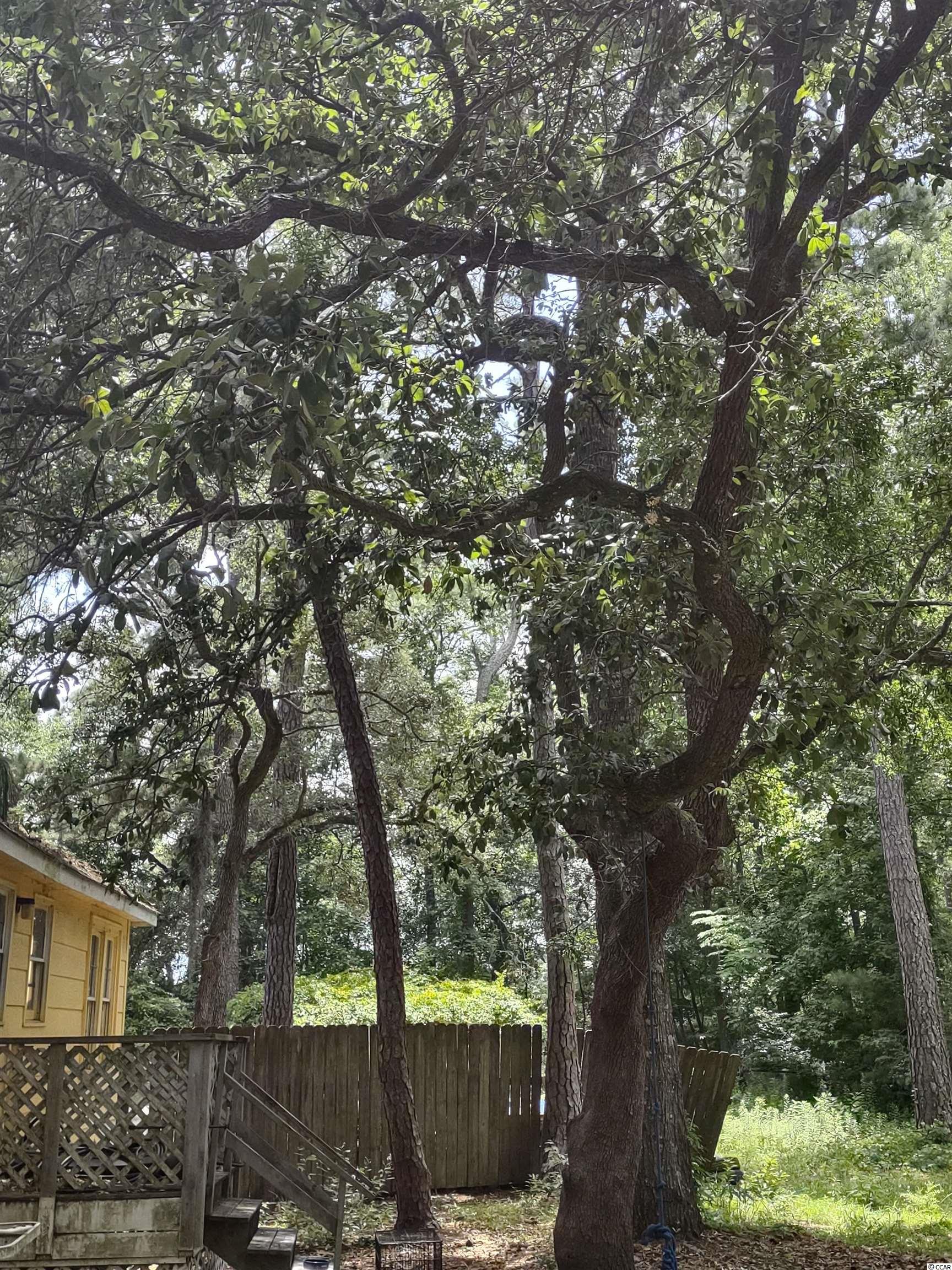 927 Margo Lane Murrells Inlet, SC 29576 - Photo 11 of 17 Gallery Image 11