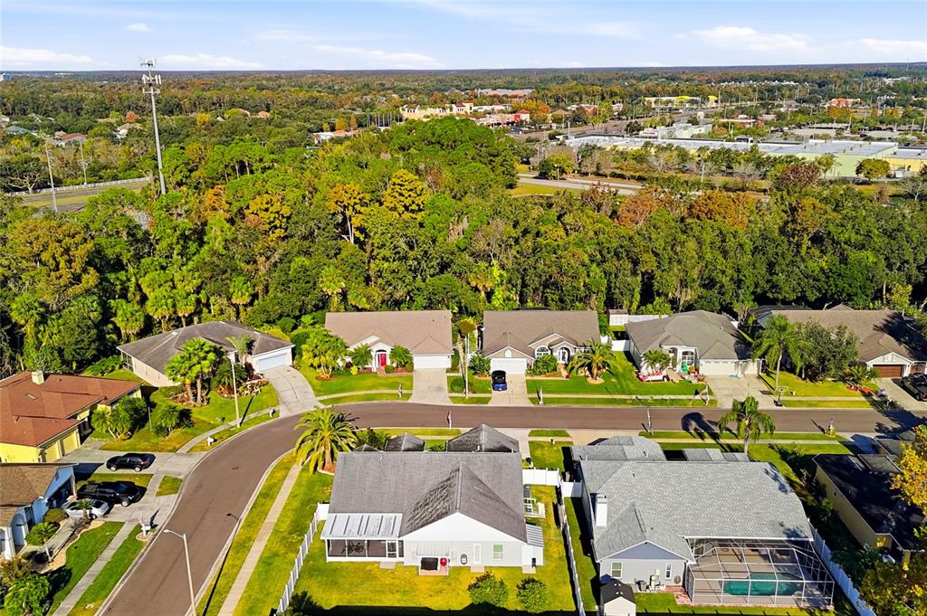 28390 Openfield Loop Wesley Chapel, FL 33543 - Photo 33 of 44