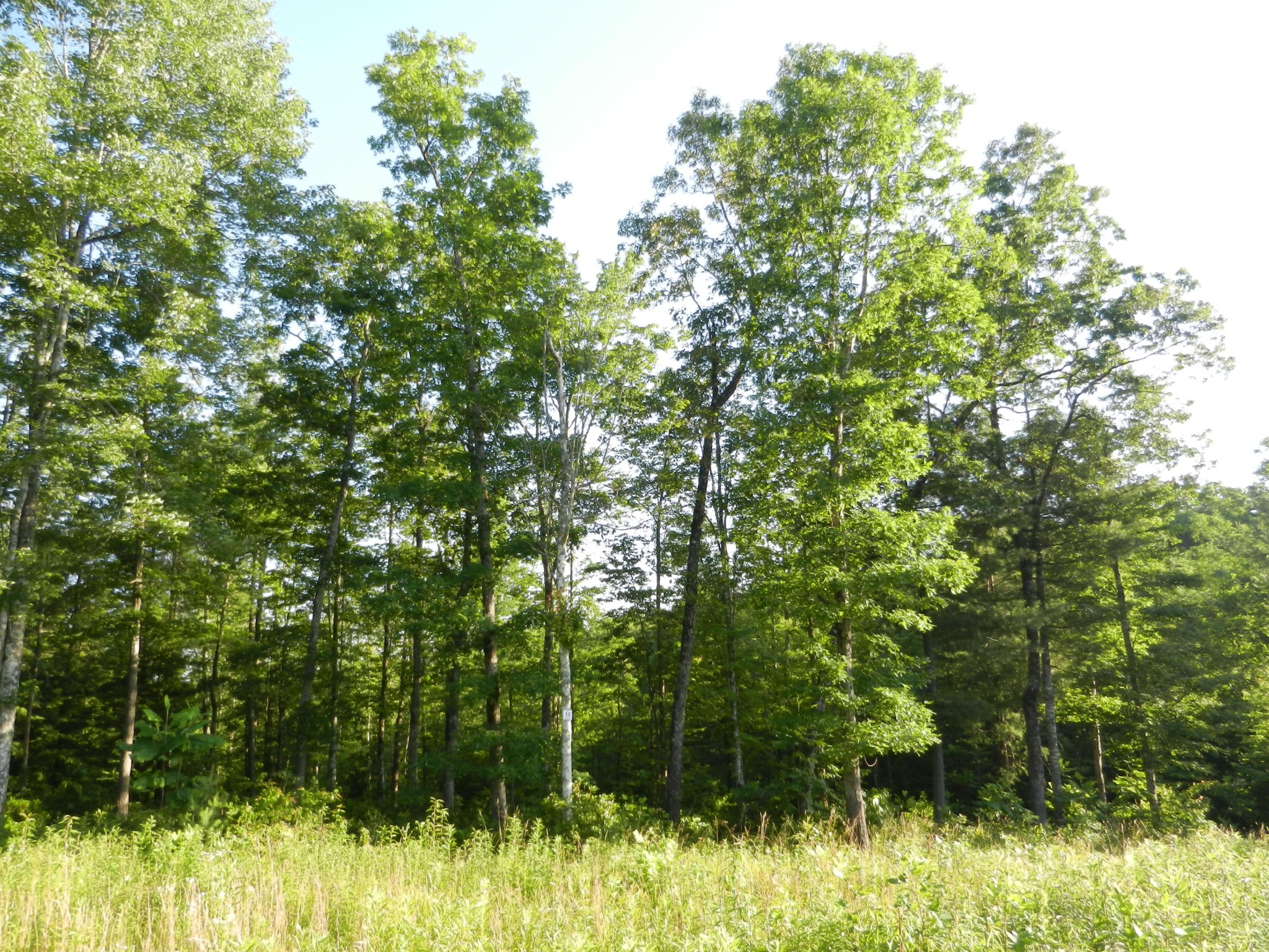 12 Toomey Falls Road Oneida, TN 37841 - Photo 2 of 14 Gallery Image 2