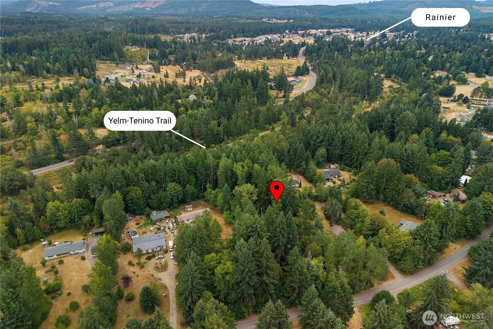 823 Tipsoo Loop South Rainier, WA 98576 - Photo 4 of 6 an aerial view of a house