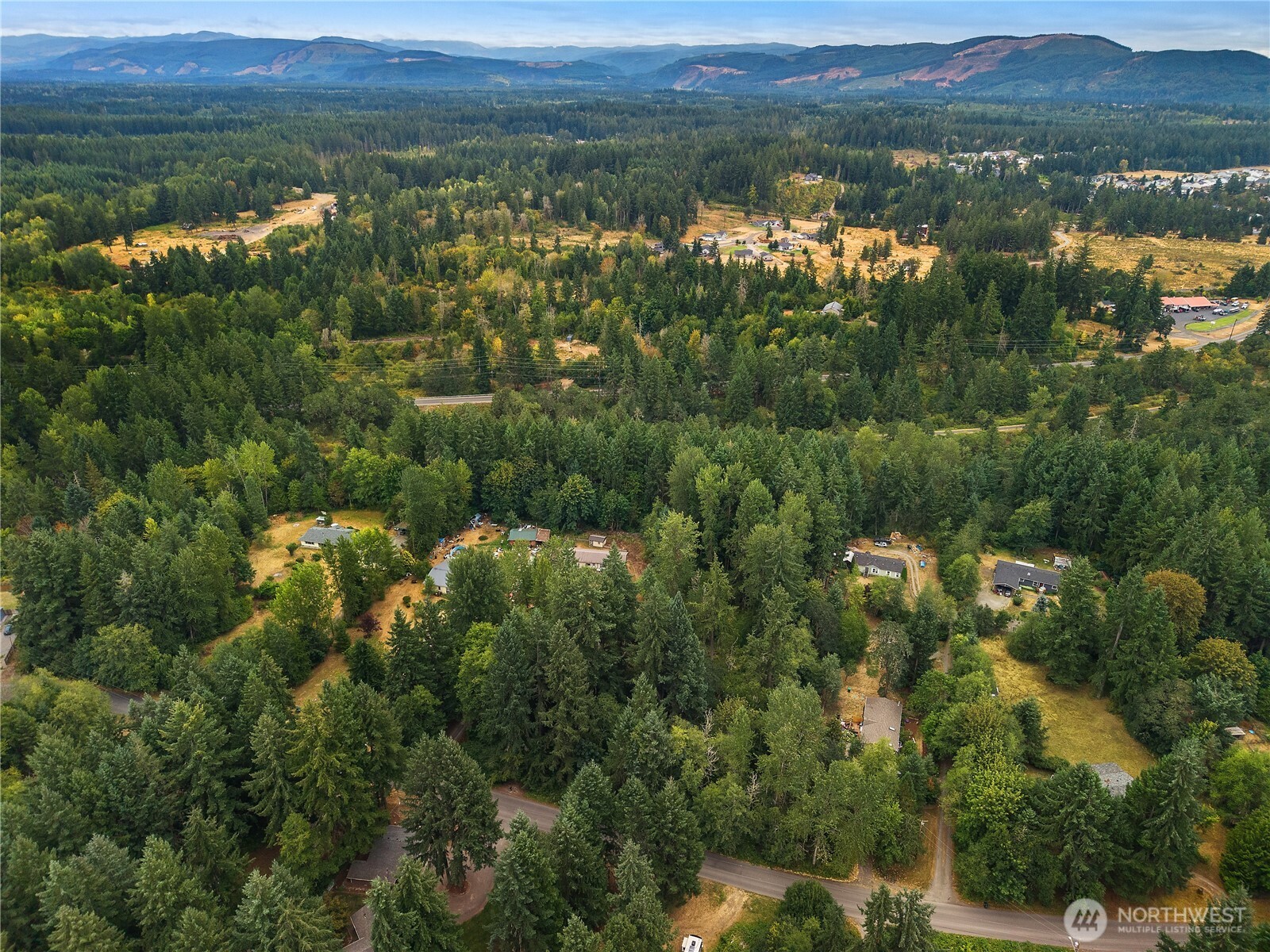 823 Tipsoo Loop South Rainier, WA 98576 - Photo 6 of 6 an aerial view of a town with residential houses and lake view