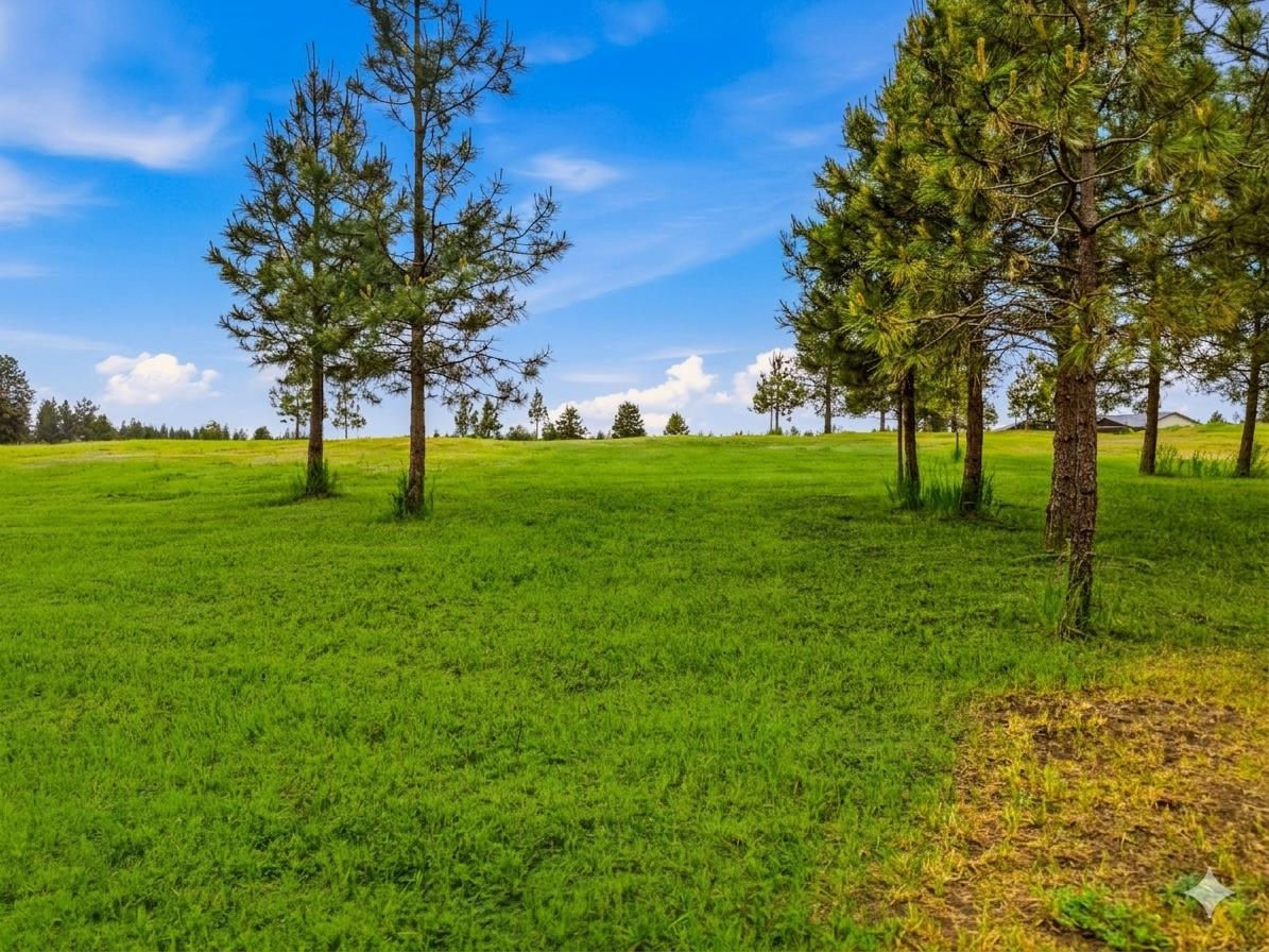 Nka North Prairie Crest Road Spokane, WA 99224 - Photo 4 of 16