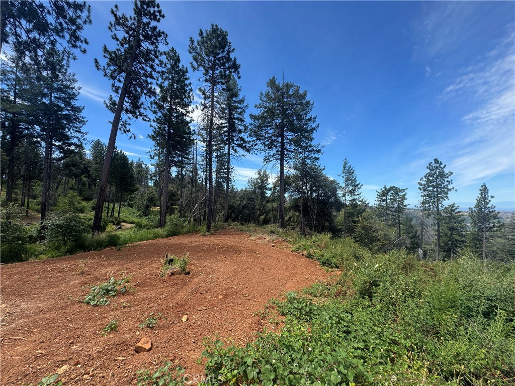 1400 Bader Mine Road Paradise, CA 95969 - Photo 11 of 16
