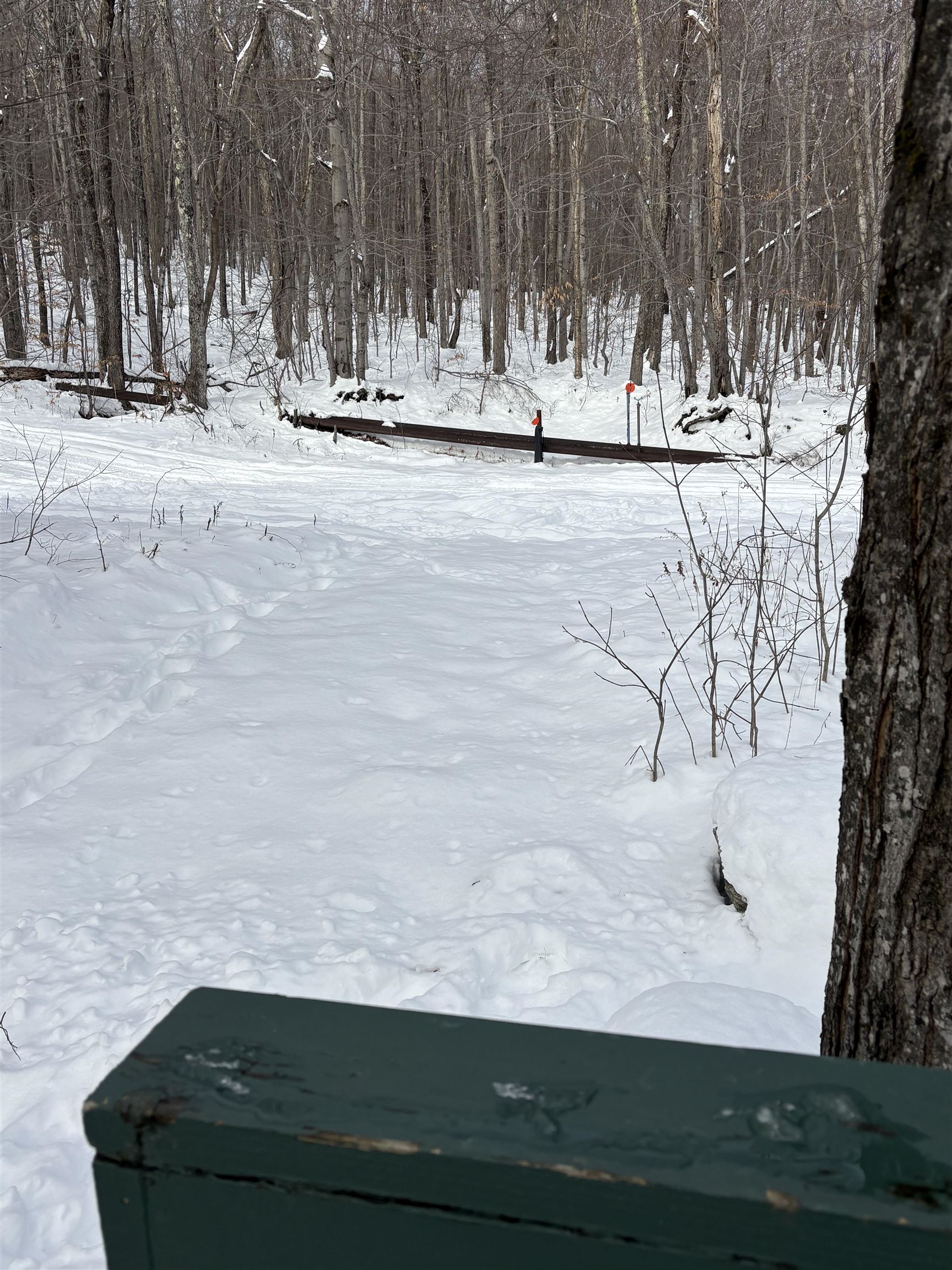 85 Rimrock Road, Unit 13A Ludlow, VT 05149 - Photo 25 of 35