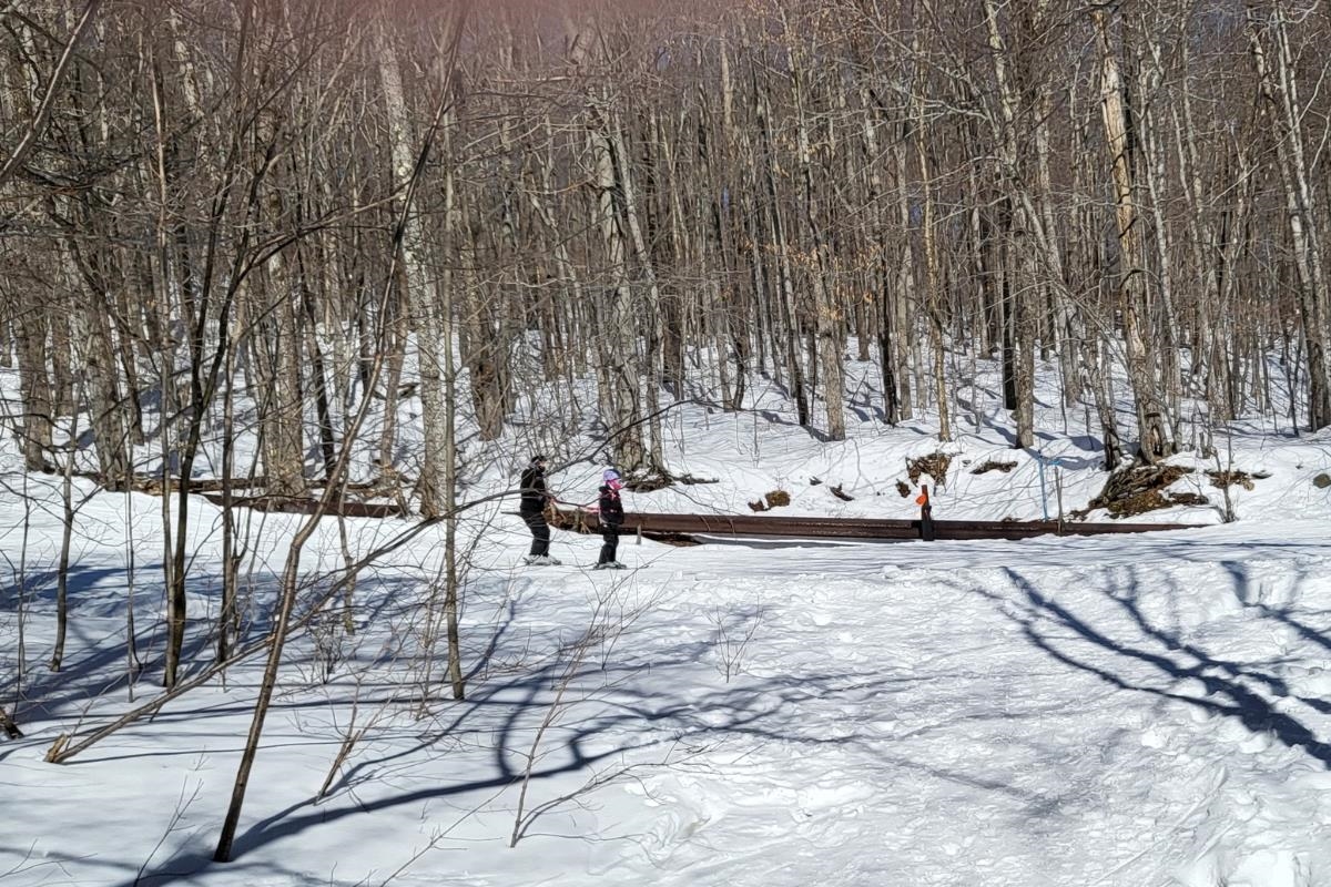 85 Rimrock Road, Unit 13A Ludlow, VT 05149 - Photo 28 of 35