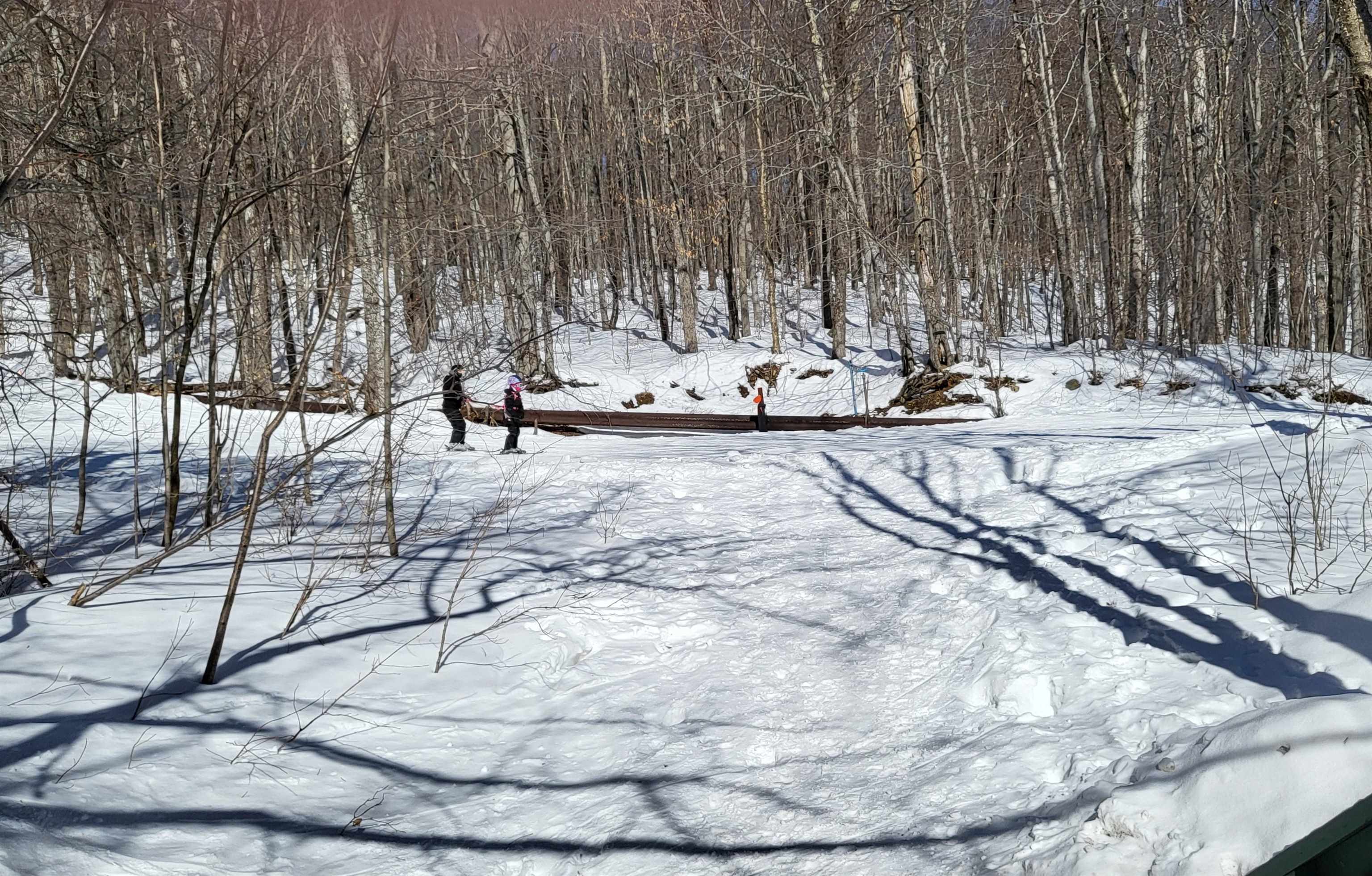 85 Rimrock Road, Unit 13A Ludlow, VT 05149 - Photo 29 of 35