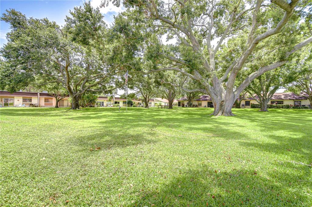 11511 113th Street, Unit 33D Largo, FL 33778 - Photo 33 of 33 a view of a park with large trees