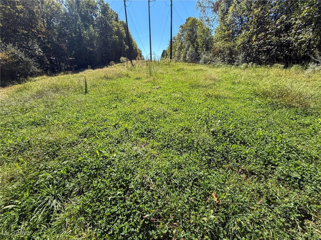 Layman Road Vincent, OH 45784 - Photo 12 of 35 View of yard