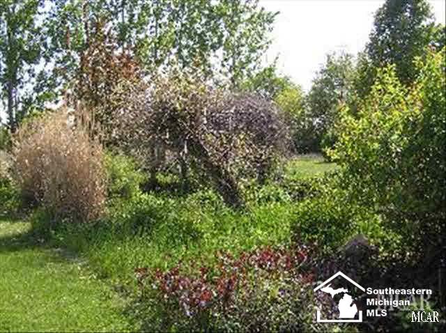 18561 Mead Road Milan, MI 48160 - Photo 18 of 20 Landscaping